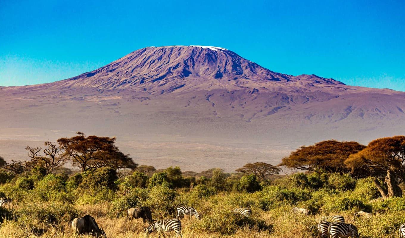 Kilimanjaro beklimmen