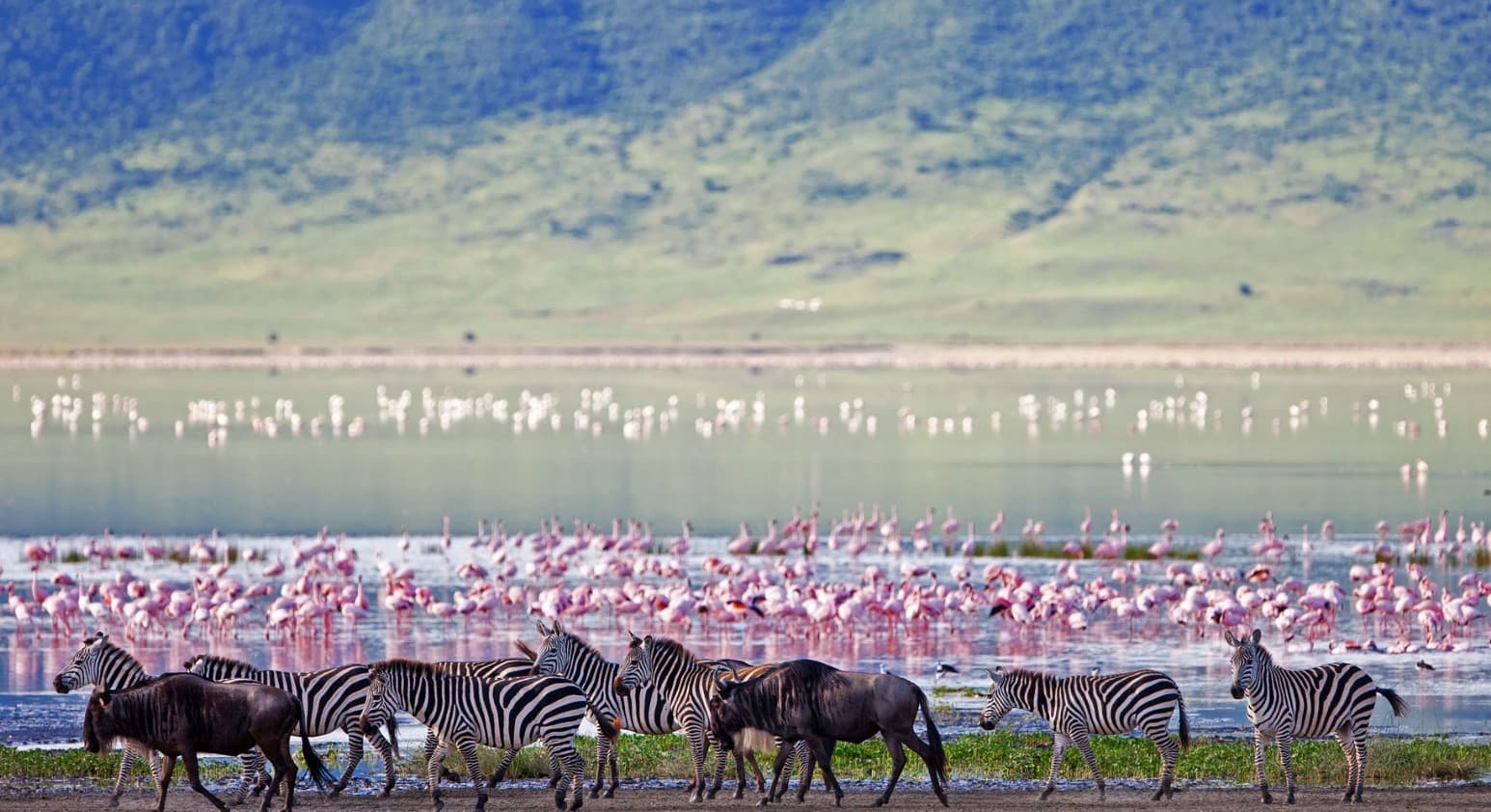Ngorongoro-krater